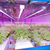 Greenhouse of Single Container Plant Factory thumbnail-2