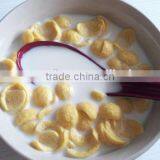 The Newest Fast Delivery Choco Pie Machine Suppliers thumbnail-5