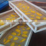 Microwave Vacuum Dryer for Mango/mango Slice thumbnail-2