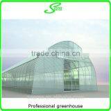 Galvanized Steel Tube Frame Greenhouse Commercial Greenhouse thumbnail-4