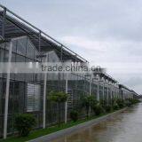 Galvanized Steel Frame Multi Span Agricultural Greenhouse for Sale thumbnail-2