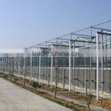 China Supplier Cheap Price Glass Tunnel Greenhouse thumbnail-4