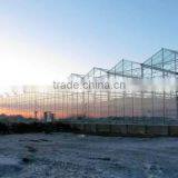 Glass Greenhouse-1 thumbnail-2