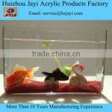 Hot Selling Aquarium Tank Fish thumbnail-4