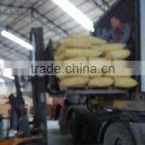 Wpc Raw Material Granulated thumbnail-1