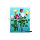 Single Rose Bud thumbnail-1