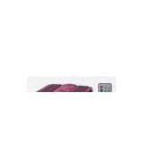 Car Amplifier ——Mini Amplifier