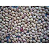 Light Speckled Kidney Beans Round Shap thumbnail-1