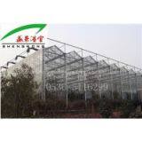 Glass Greenhouse thumbnail-1
