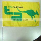 Promotion Polyester Printing Flag