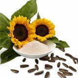 Top Quality SS206 Super Speed Bentonite Fullers Activated Bleaching Earth Clay Powder for CBD Hemp Sunflower Soybean Palm Rapeseed Oil Refining Food Grade thumbnail-2