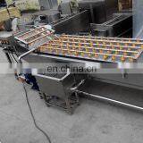 Industrial Automatic 100kg 500kg Vegetable Fruit Washing Machine thumbnail-6