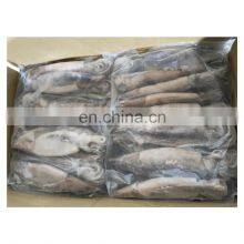 Wholesale Frozen WR Squid Jig Hook for Export