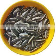 Hybrid f1 Chinese Sunflower Seeds for Planting SX No.6 1 Buyer thumbnail-1