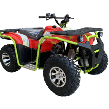 200CC 300CC quad ATV