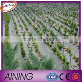 2015 New uv PP & PE Plastic Ground Cover/ground Mat/weed Mat Product thumbnail-1