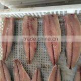Frozen Scomber Japonicus Mackerel Fillet
