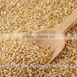 Organic Quinoa Seeds