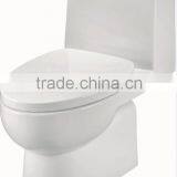 One-piece Washdown s trap 300mm toilet