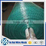 1/2 Inch Green Pvc Coated Welded Wire Mesh thumbnail-6