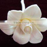 Sola Diffuser Flower