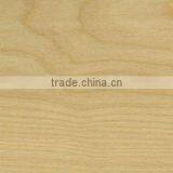 Northern Yellow Birch thumbnail-1