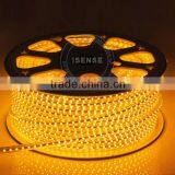Super Water-proof Led Light Led Strip, 335 3528 Smd Led Strip Light thumbnail-3