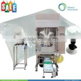 2.5-25 Liter Automatic sachet mineral water filling packaging machine