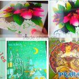 Newest Design Digital PVC Card Printing Machine With Low Print Cost thumbnail-3