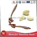 Fashionable Manual Copper Coating Zinc Alloy Garlic Press