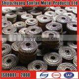 Galvanized Coil Nail (professional Factory) thumbnail-1