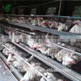 Full Automatic or Semi Automatic Layer Rearing Cages for Pullets thumbnail-4