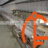 Chickens Slaughtering Processing Line 500 B/hour Quality Choice thumbnail-5
