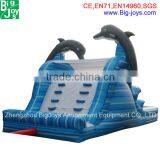 Adult Size Inflatable Water Slide thumbnail-2