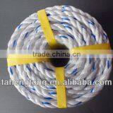 POLYPROPYLENE DANLINE ROPE FOR MARINE ROPE thumbnail-5