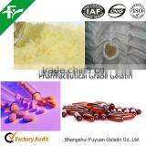 Medical Gelatin Used for Empty Hard Capsule