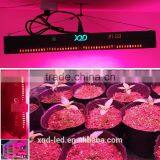XQD 450W LED Light Full Spectrum LED Grow Light Black Panel For Medical Herb Veg and Flower Stage thumbnail-4