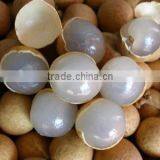 Canned Fruit Longan in Syrup thumbnail-2