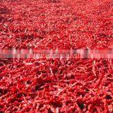 Chinese Novel Products Dried Chilli Buy From China Online thumbnail-6