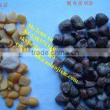 Soybean Broad Bean Peeling Machine /dry Beans Peeler thumbnail-4