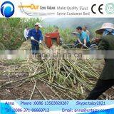 Diesel Engine Power Sugar Cane Leaf Stripping Machine thumbnail-3
