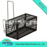 Best Quality and Competitive Price for New Model Eco-friendly Large Mouse Trap thumbnail-1