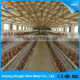 china wholesale custom live poultry used chicken cages for sale
