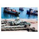 strong fishery rope for Commercial and Industrial Use