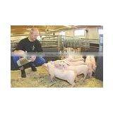 Feed Grade Concentrated Soy Protein-GMO thumbnail-1