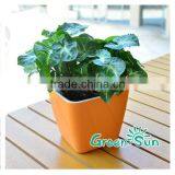 Customized Garden Decorating Plant Pot Plastic Flower Pots Wholesale thumbnail-1
