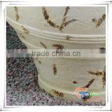 Popular Fiberglass Oval Shaped Rustic Garden Pots thumbnail-5