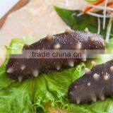 Sugar-Free Sea Cucumber Type thumbnail-2