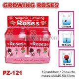 Growing Roses , Fruits and Vegetable thumbnail-1
