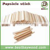 Popsicle Stick Stamp With Logo thumbnail-6